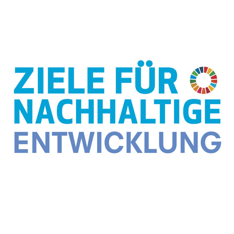 Deutsche Nachhaltigkeitsstrategie Stand: 28.02.2024 – Copy