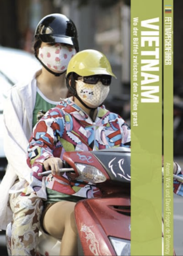 Fettnäpfchenführer Vietnam: Wo der Büffel zwischen den Zeilen grast: Wo der Büffel zwischen denZeilen grast (+ E-Book inside) Gebundene Ausgabe – 23. November 2017von Anemi Wick (Autor), David Frogier de Ponlevoy (Autor)